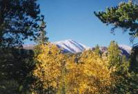 Mt. Elbert